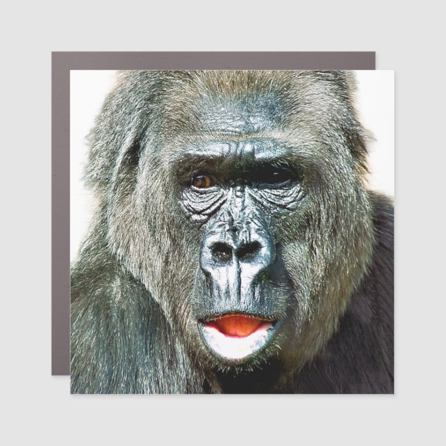 FUNNY CUTE GORILLA CAR MAGNET (Front)