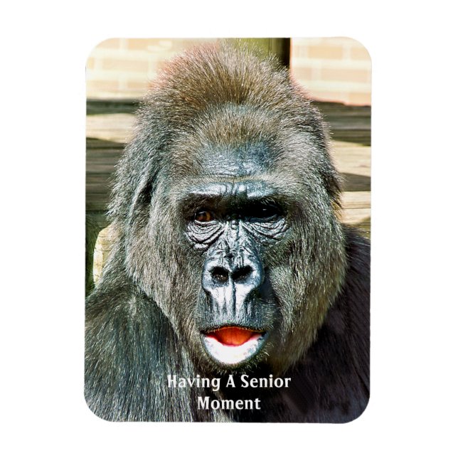 FUNNY CUTE GORILLA MAGNET (Vertical)