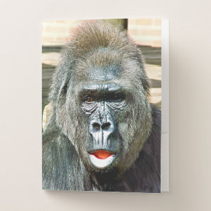 FUNNY CUTE GORILLA POCKET FOLDER