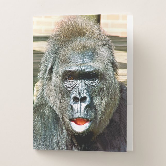 FUNNY CUTE GORILLA POCKET FOLDER (Front)