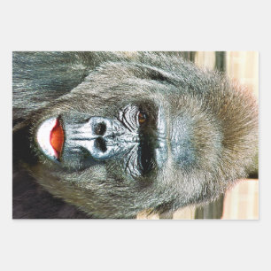 FUNNY CUTE GORILLA WRAPPING PAPER SHEETS