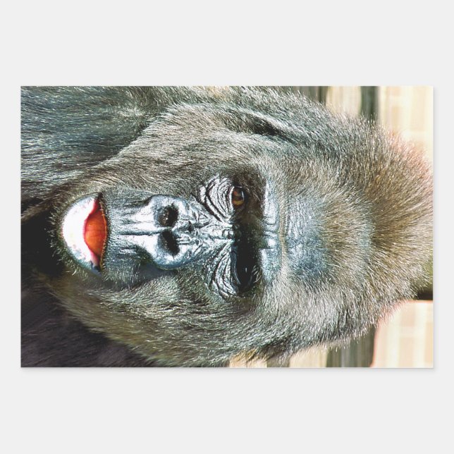 FUNNY CUTE GORILLA WRAPPING PAPER SHEETS (Front)