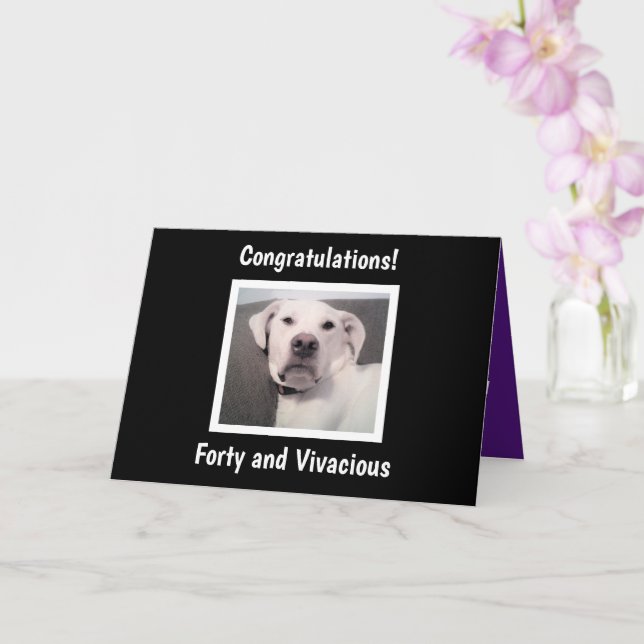Funny Cute Grumpy White Dog 40th Birthday Black Card (Orchid)