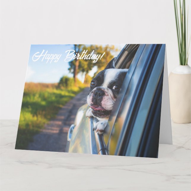 Funny Cute Happy French Bulldog Dog Birthday Card (Front)
