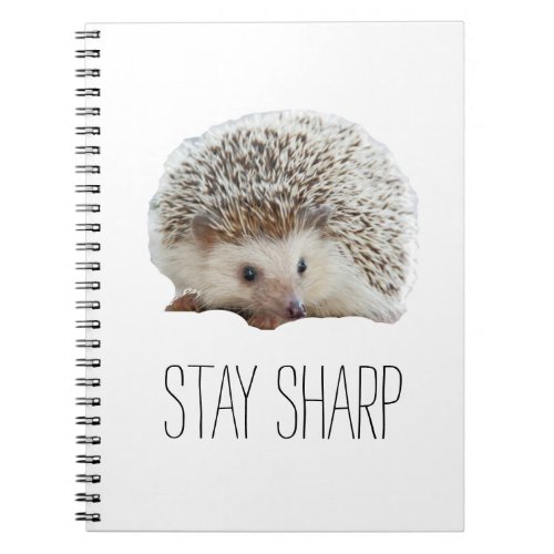 Funny cute hedgehog stay sharp quote hipster humor notebook