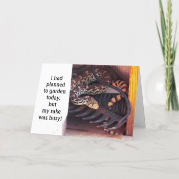 Funny Cute Herp Friendship — Sonoran Gopher Snake Card by She_Wolf_Medicine at Zazzle