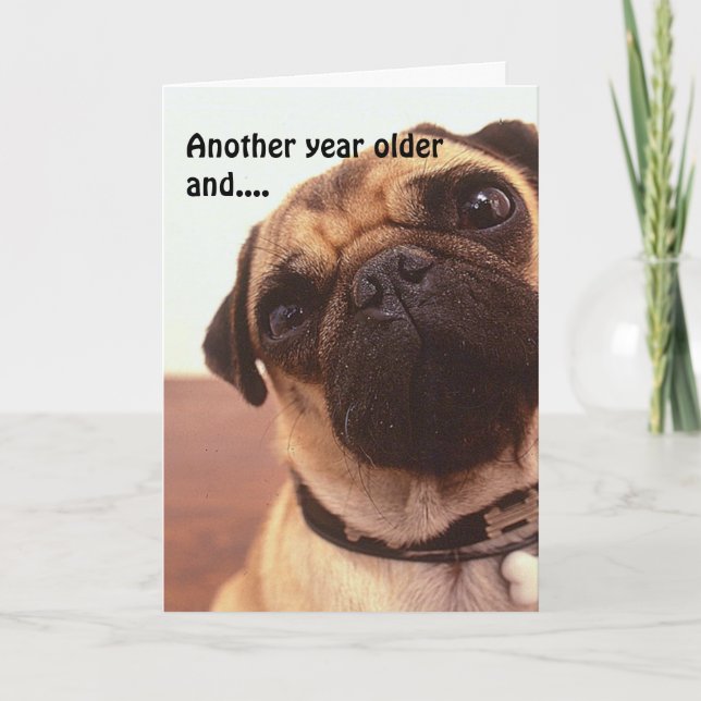 Funny Cute Humorous Pug Dog Birthday Card (Front)