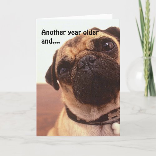 Funny Cute Humorous Pug Dog Birthday Card