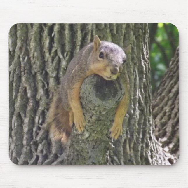 Funny Cute Lazy Squirrel on Tree Branch Mouse Pad (Front)