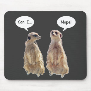 Funny, cute meerkats in conversation mouse pad