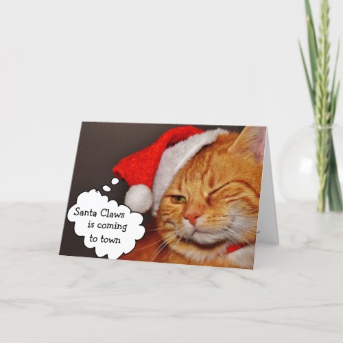 Funny Cute Merry Christmas Holiday Cat Card