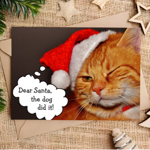 Funny Cute Merry Christmas Holiday Cat Card