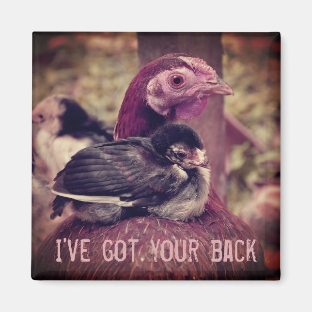 Funny Cute Mother Hen and Chick Magnet (Front)