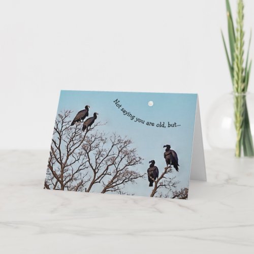 Funny Cute Old Guy Vultures Birthday Card