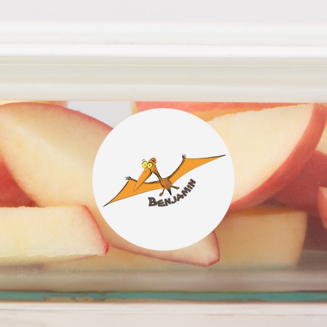 Funny cute orange flying pterodactyl cartoon labels (Affixed)
