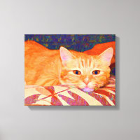 Funny Cute Orange Tabby Cat