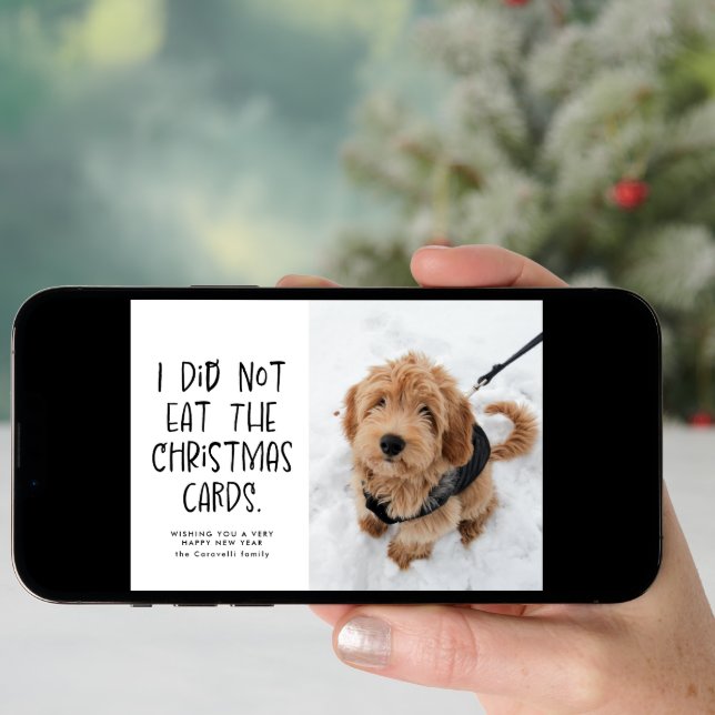 Funny cute pet black and white New Year photo Holiday Card (Front Digital)