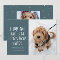 Funny cute pet light blue photo New Year