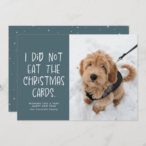 Funny cute pet light blue photo New Year Holiday Card