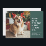 Funny cute pet photo Christmas Holiday Card<br><div class="desc">A cute and clever holiday card design to send Christmas cheer. This one-photo design with white text on a stylish green is perfect for dogs, cats or anyone else trying to get on the nice list. The wording reads "Nice list pro tip: if you can't be good, try being cute."...</div>