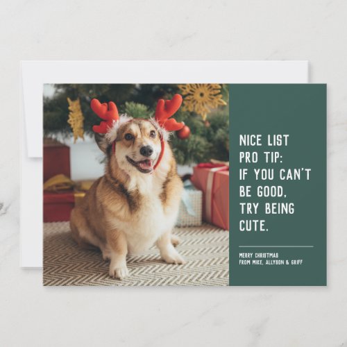 Funny cute pet photo Christmas Holiday Card