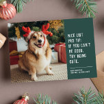 Funny cute pet photo Christmas Holiday Card<br><div class="desc">A cute and clever holiday card design to send Christmas cheer. This one-photo design with white text on a stylish green is perfect for dogs, cats or anyone else trying to get on the nice list. The wording reads "Nice list pro tip: if you can't be good, try being cute."...</div>