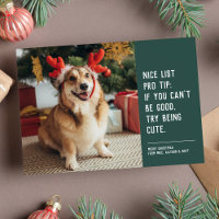 Funny cute pet photo Christmas Holiday Card