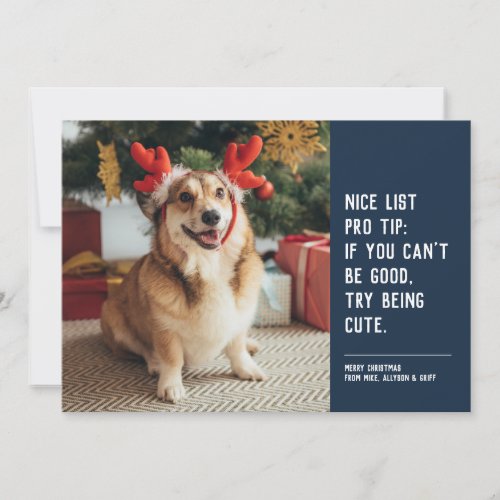 Funny cute pet photo navy blue Christmas Holiday Card