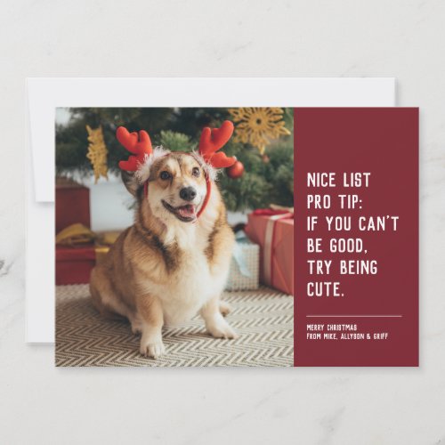 Funny cute pet photo red Christmas Holiday Card