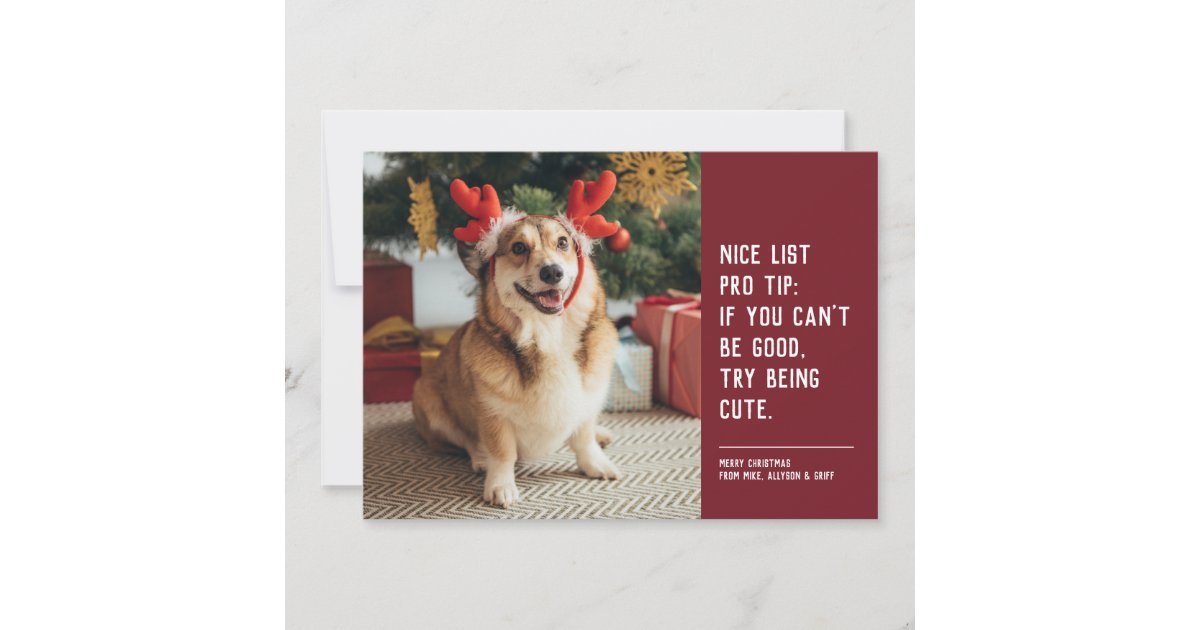 Funny cute pet photo red Christmas Holiday Card | Zazzle