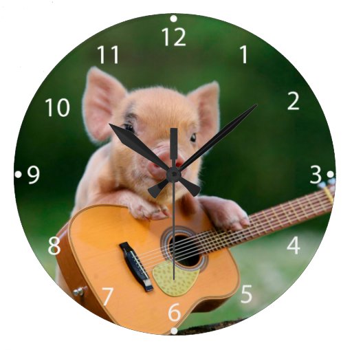 Funny Cute Pig Playing Guitar | Zazzle