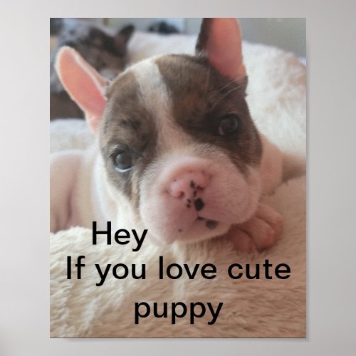 Funny cute pitbull puppy quote poster