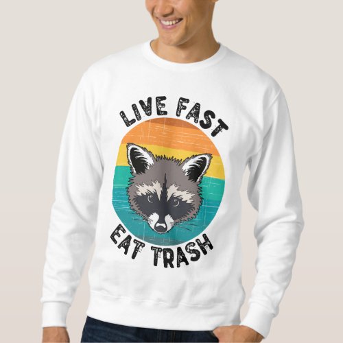 Funny Cute Raccoon Trash Vintage Sunset Gift Sweatshirt