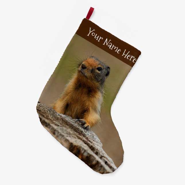 Funny Cute Saucy Columbian Ground Squirrel Large Christmas Stocking (Front (Hanging))