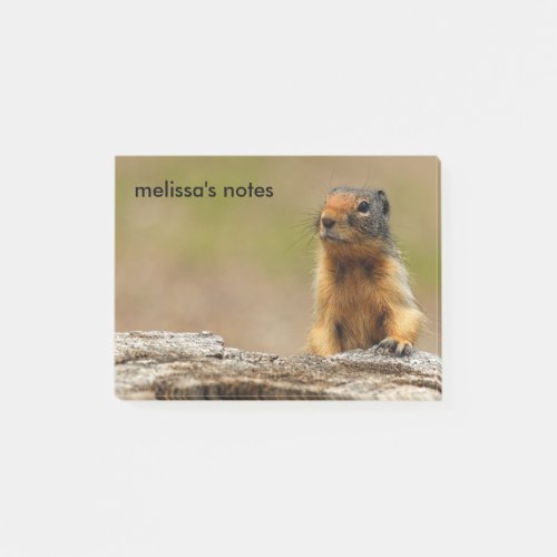 Funny Cute Saucy Columbian Ground Squirrel Post_it Notes