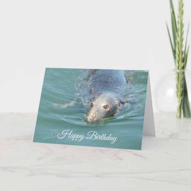 Funny Cute Seal Happy Birthday Card (Front)