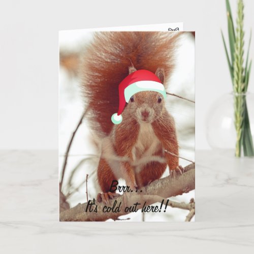 Funny Cute Squirrel Merry Christmas Holiday Card