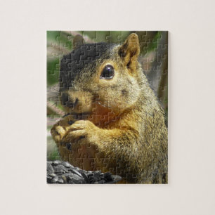 Funny Cute Squirrel Photograph Jigsaw Puzzle