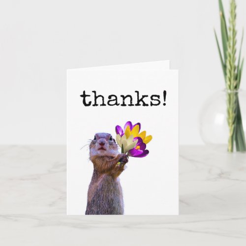 Funny Cute Squirrel Thank You Card