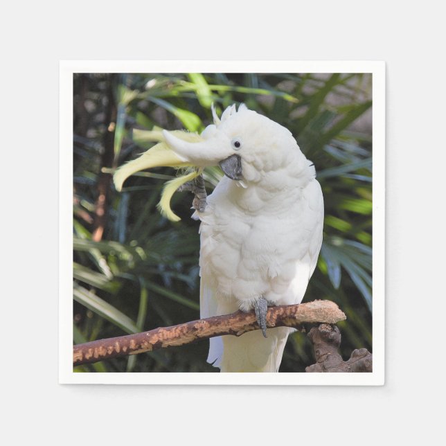 Funny Cute Sulfur-Crested Cockatoo Waves Hello Napkins (Front)