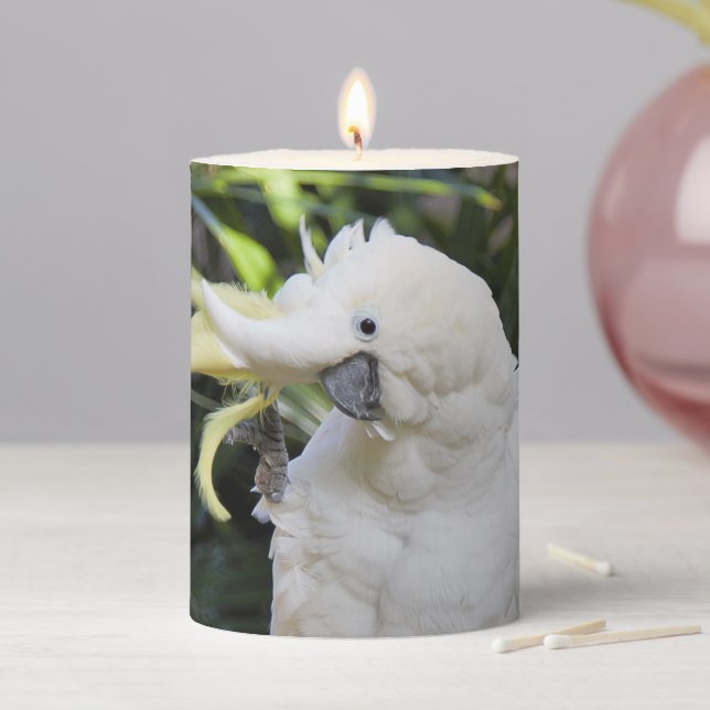 Funny Cute Sulfur-Crested Cockatoo Waves Hello Pillar Candle (In Situ)