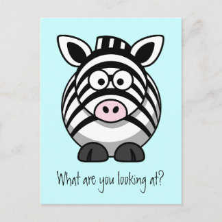 Funny Cute Zebra Postcard