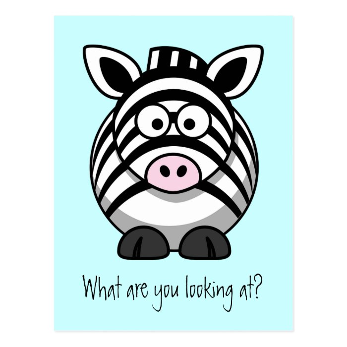 Funny Cute Zebra Postcard