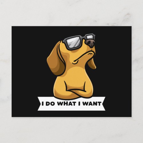 Funny Dachhund dog funny Gift Idea Postcard