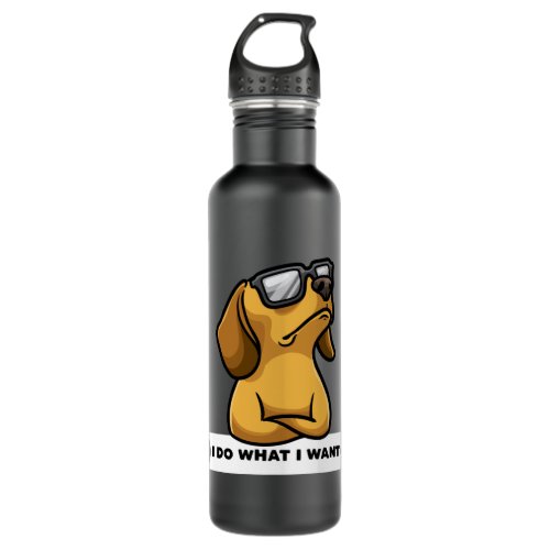Funny Dachhund dog funny Gift Idea Stainless Steel Water Bottle
