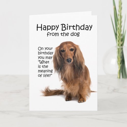 Funny Dachshund Birthday Card
