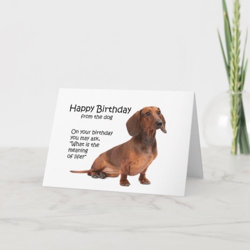 Funny Dachshund Birthday Card