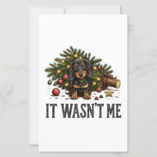 Funny Dachshund Christmas It Wasn't Me
