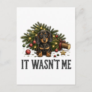 Funny Dachshund Christmas It Wasn't Me Invitation Postcard