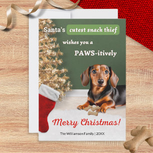 Funny Dachshund Dog Animal Christmas Humor Holiday Card